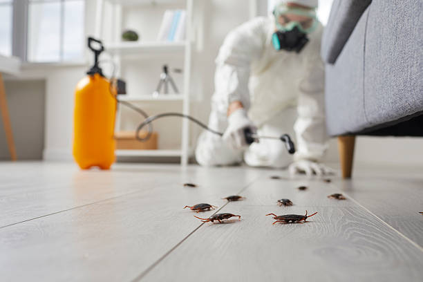 Trusted Rodent Control service in Lake Mohegan, NY - Nex Pest Control
