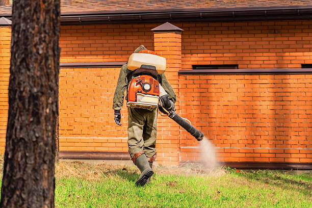 Trusted Termite Control service in Lake Mohegan, NY - Nex Pest Control